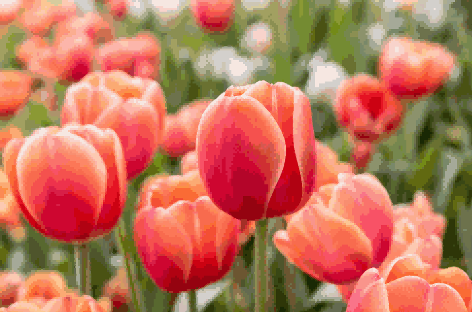 海关数据,BG大游集团海关数据,荷兰海关数据